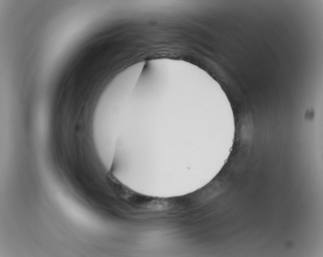 X0000112850764200909181736