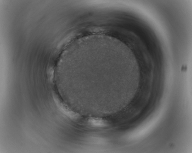 X0000112850767200909181736