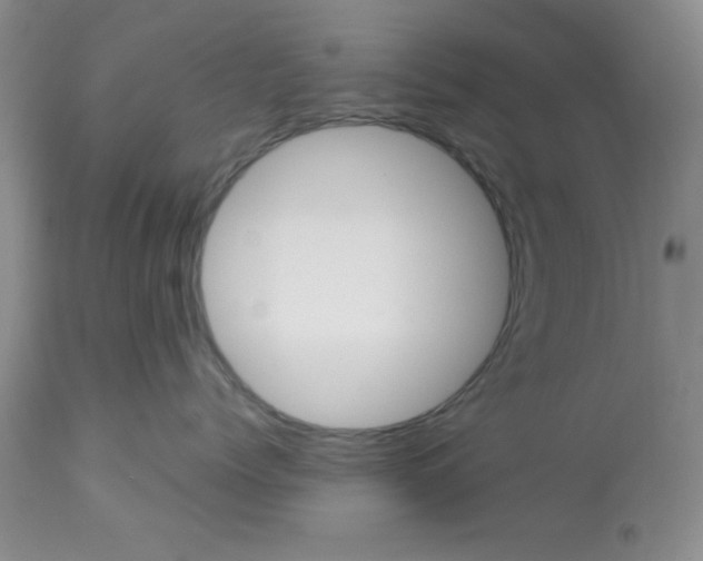 X0000112850768200909181736