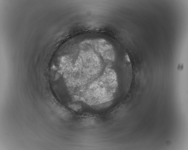 X0000112850769200909181735