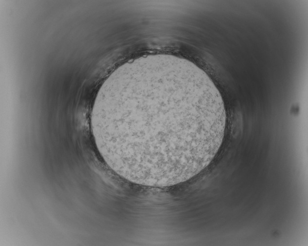 X0000112850770200909181735