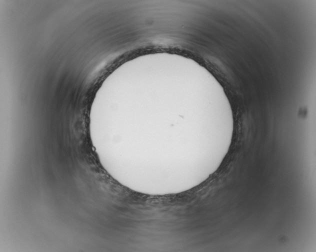 X0000112850776200909181735