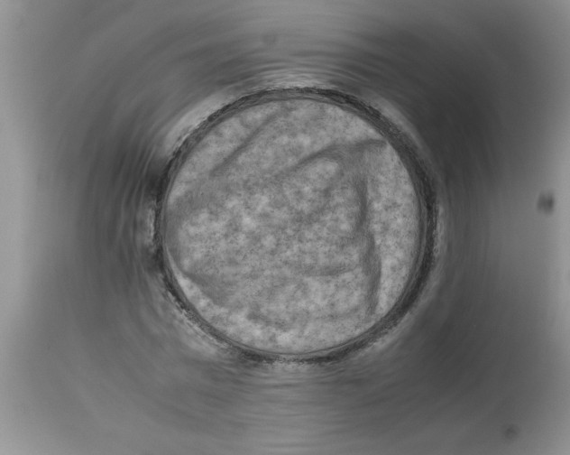 X0000112850777200909181735