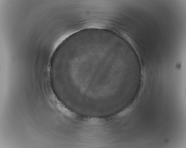 X0000112850779200909181735