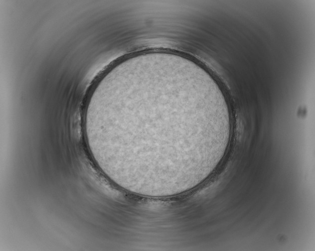 X0000112850782200909181735