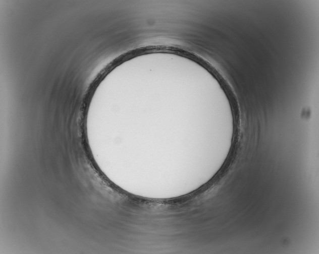 X0000112850783200909181735