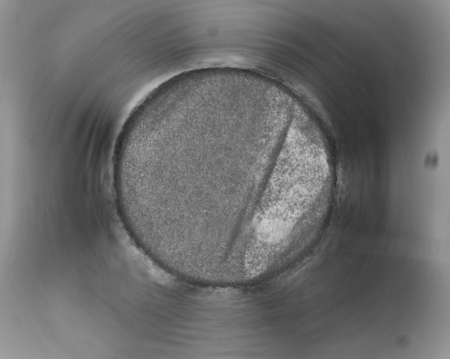 X0000112850784200909181735