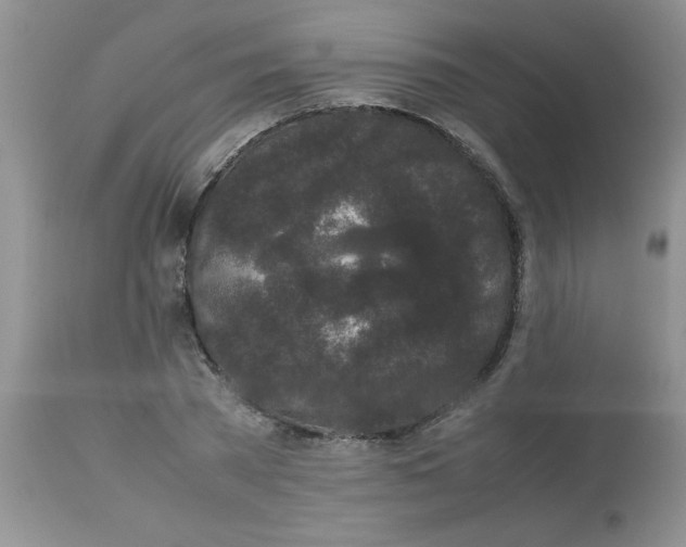 X0000112850785200909181735