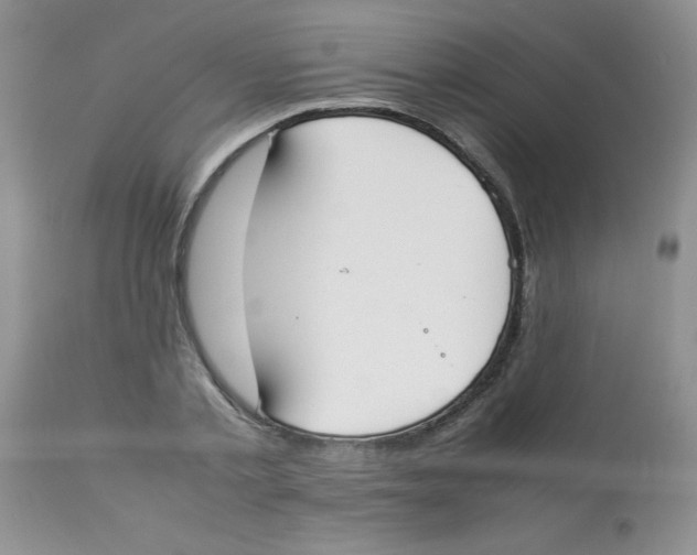 X0000112850789200909181734