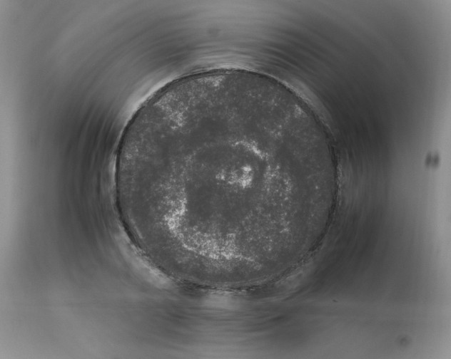 X0000112850790200909181734