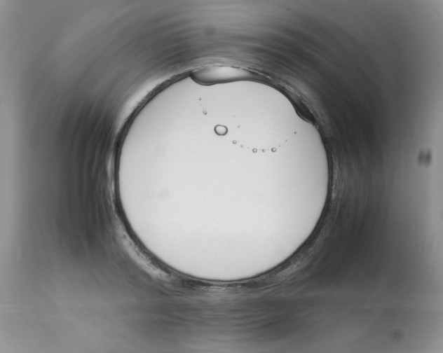 X0000112850796200909181734