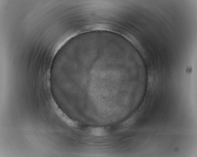 X0000112850798200909181734