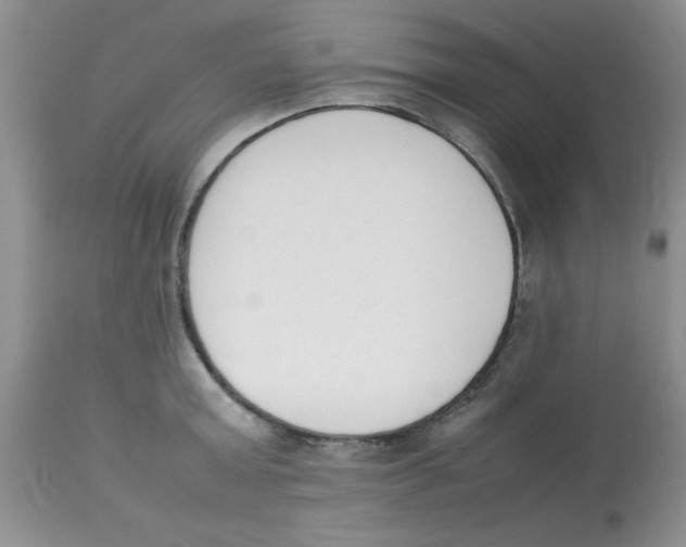 X0000112850803200909181734