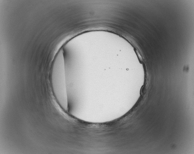 X0000112850805200909181734