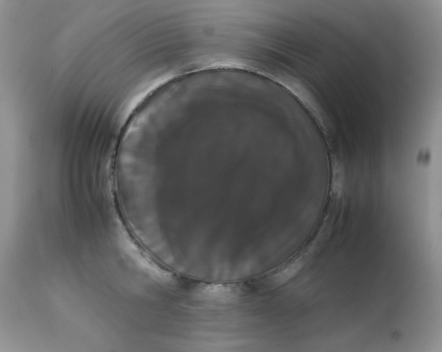 X0000112850806200909181734