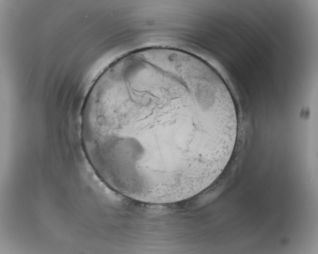 X0000112850807200909181734