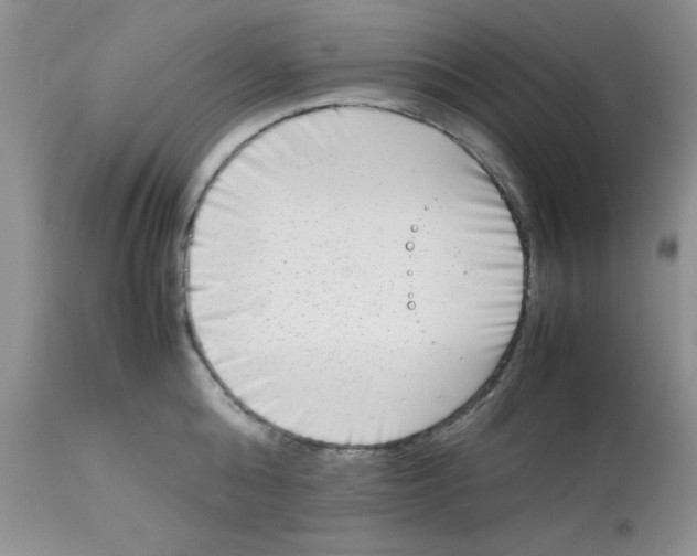 X0000112850808200909181734