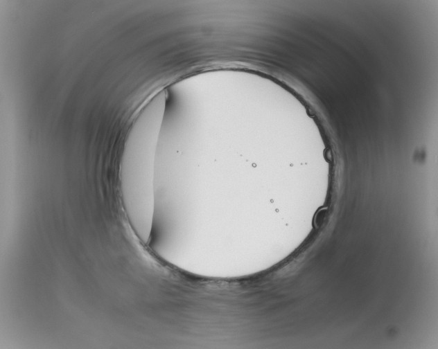 X0000112850809200909181734