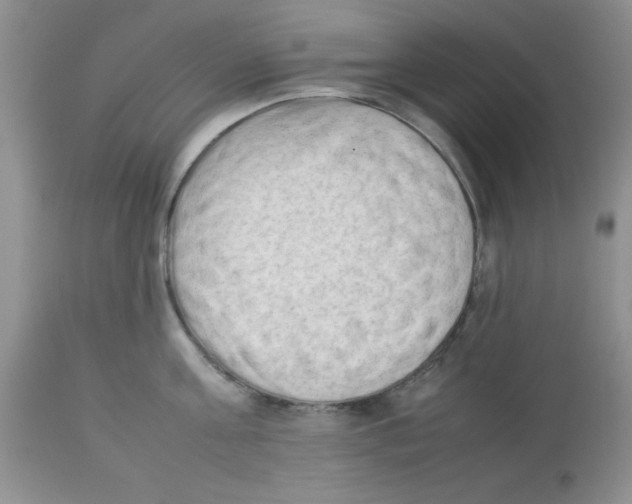 X0000112850811200909181734