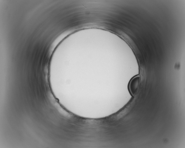 X0000112850812200909181734