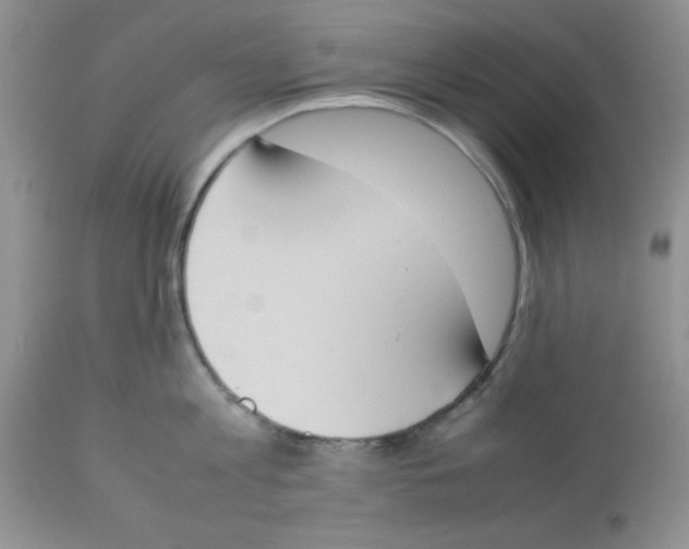 X0000112850813200909181734