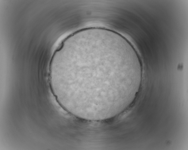 X0000112850815200909181734