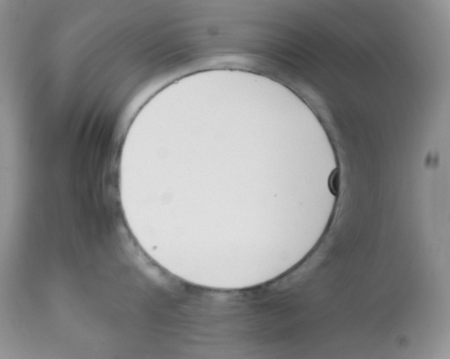 X0000112850816200909181734