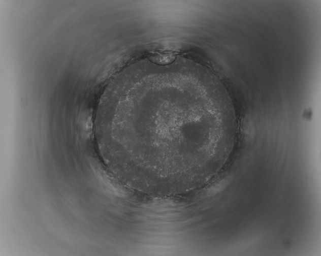 X0000112850818200909181733