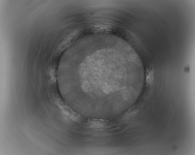 X0000112850819200909181733