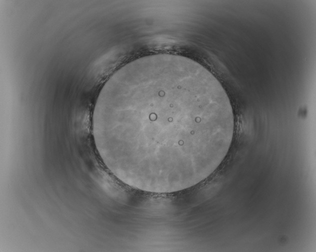 X0000112850820200909181734