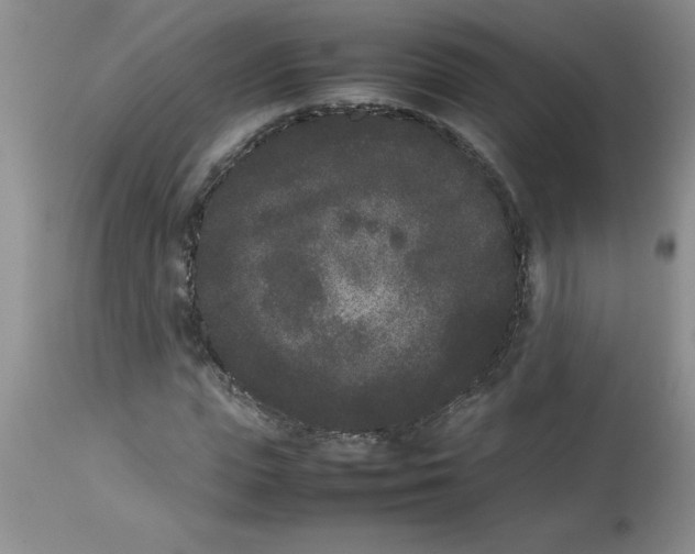 X0000112850823200909181734