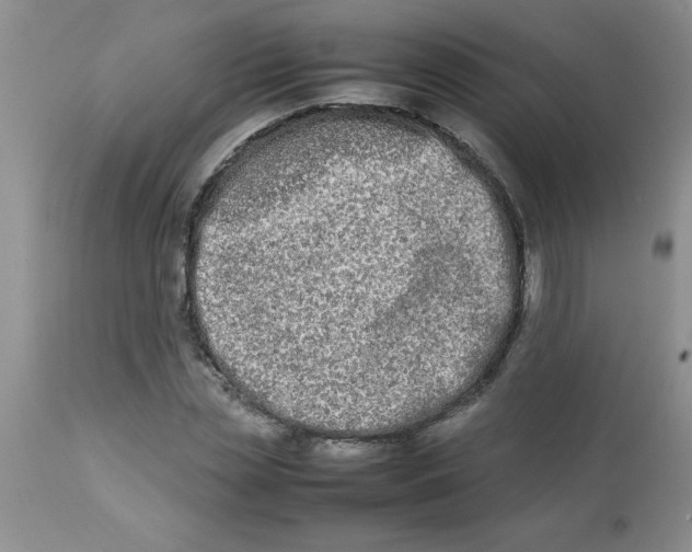 X0000112850829200909181734