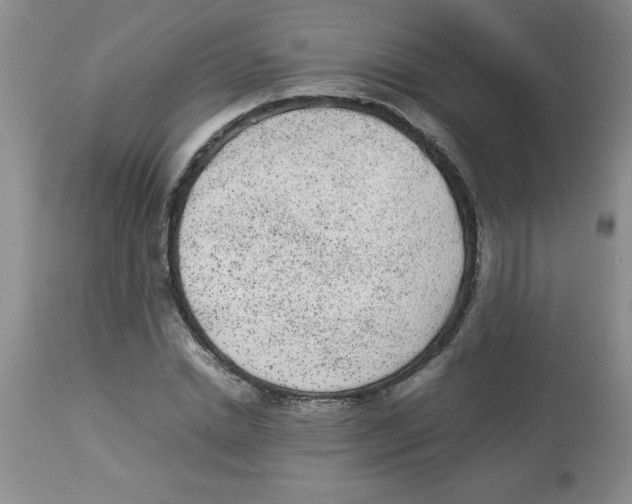 X0000112850830200909181734