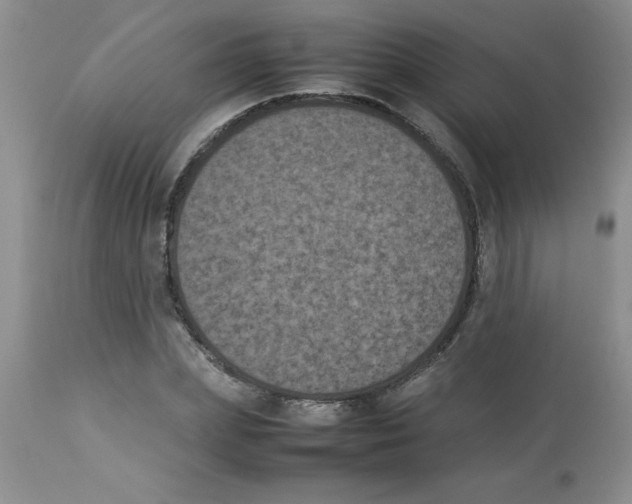 X0000112850831200909181734