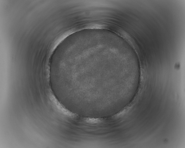 X0000112850835200909181734