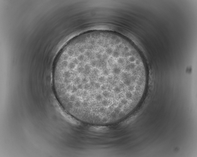 X0000112850837200909181734