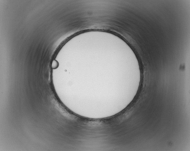 X0000112850838200909181734