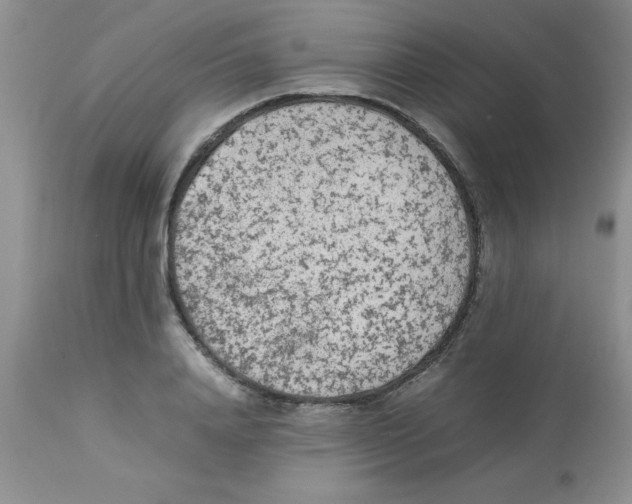 X0000112850840200909181734