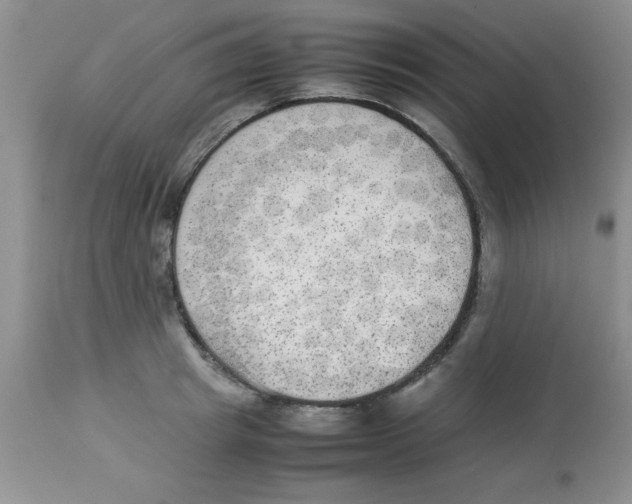 X0000112850849200909181734