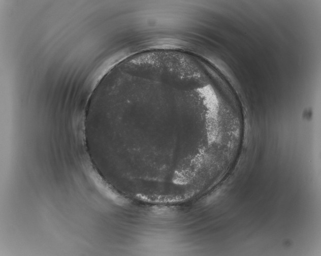 X0000112850850200909181734