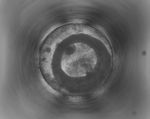 X0000112850851200909181734