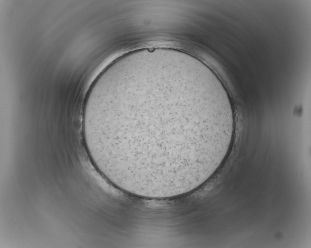 X0000112850852200909181734