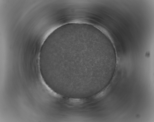 X0000112850855200909181734