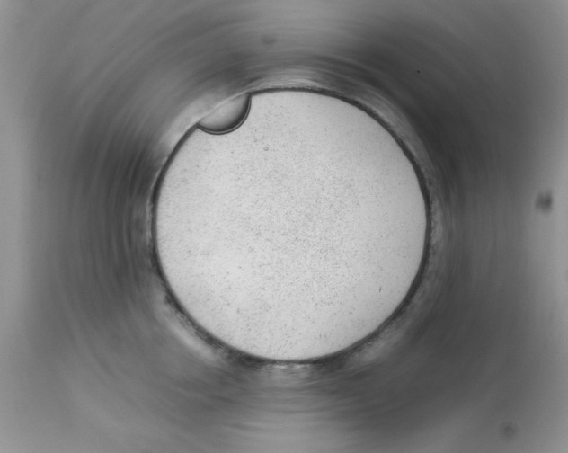 X0000112850858200909181734