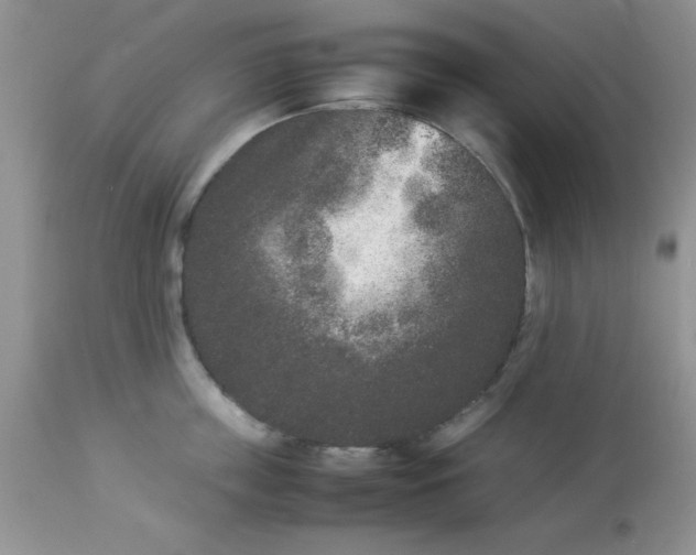 X0000112850859200909181734