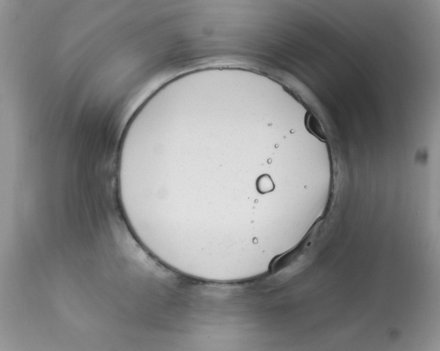 X0000112850860200909181734