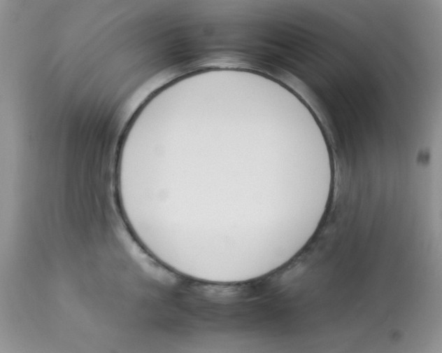 X0000112850861200909181734