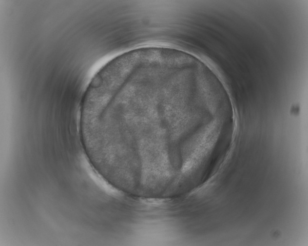 X0000112850862200909181734