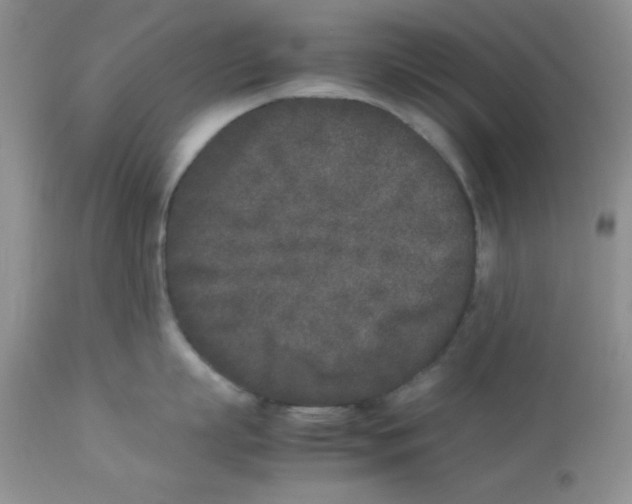 X0000112850863200909181734