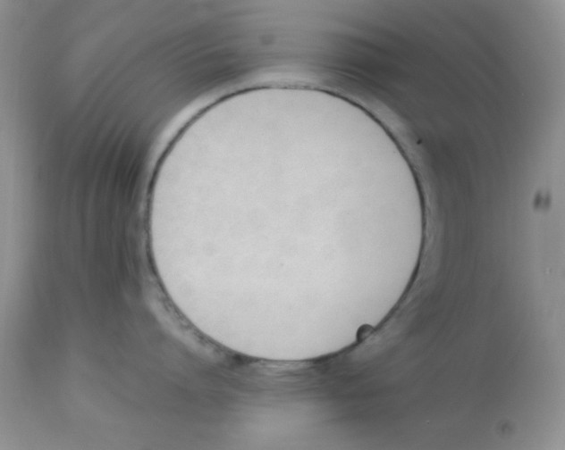 X0000112850864200909181734